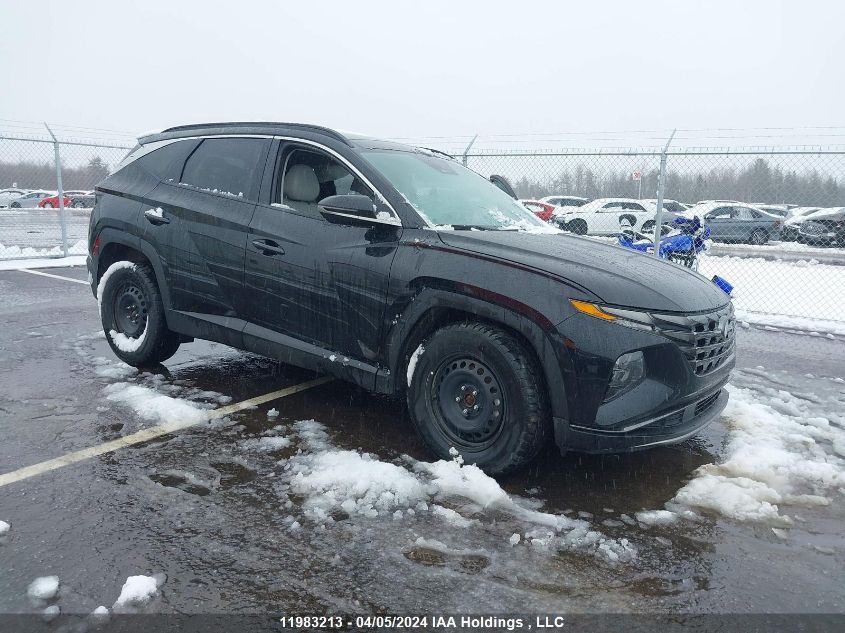 2023 Hyundai Tucson Luxury Hybrid Awd VIN: KM8JCCA18PU131521 Lot: 11983213