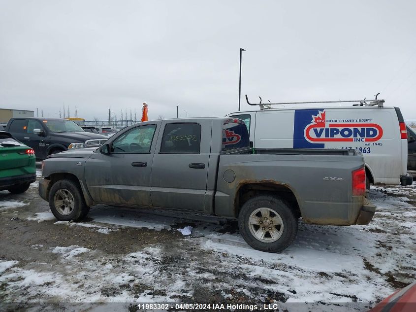 2010 Dodge Dakota Sxt VIN: 1D7CW3GP6AS264397 Lot: 11983302