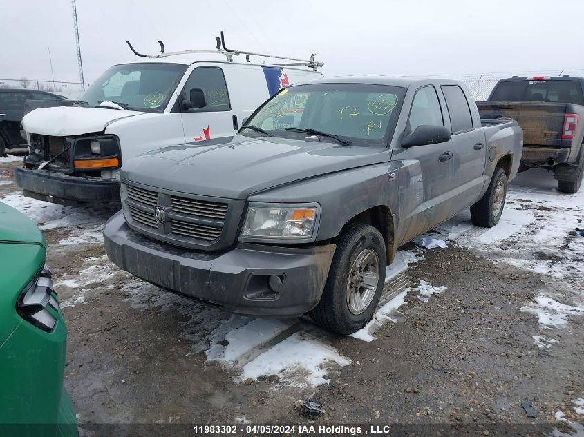 2010 Dodge Dakota Sxt VIN: 1D7CW3GP6AS264397 Lot: 11983302