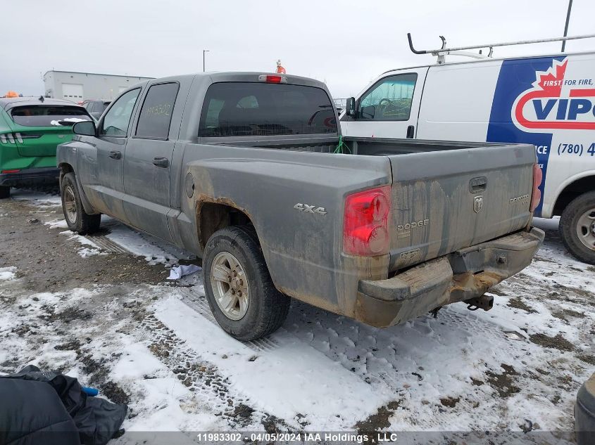 2010 Dodge Dakota Sxt VIN: 1D7CW3GP6AS264397 Lot: 11983302