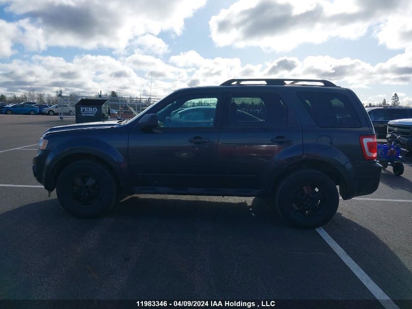 2009 Ford Escape Xlt VIN: 1FMCU93719KC45028 Lot: 11983346