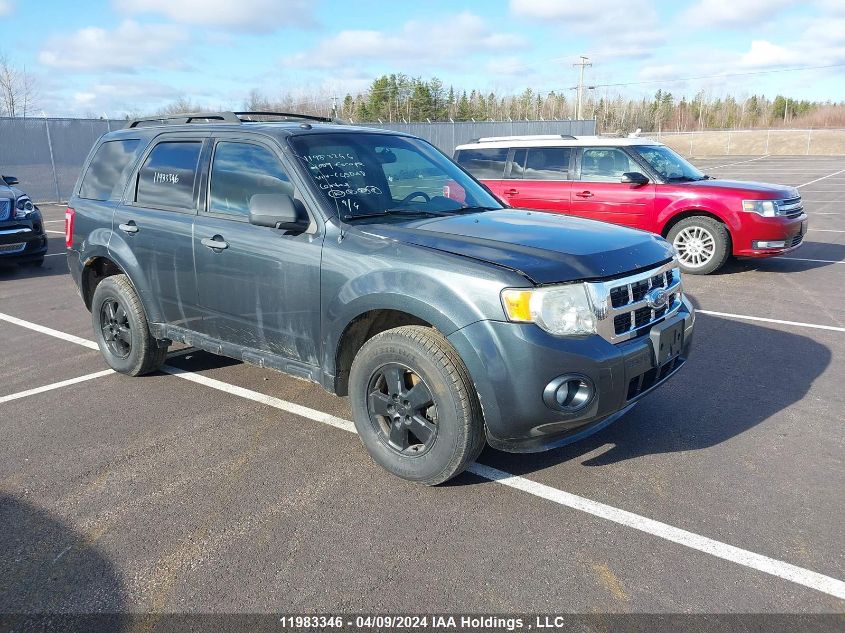 2009 Ford Escape Xlt VIN: 1FMCU93719KC45028 Lot: 11983346