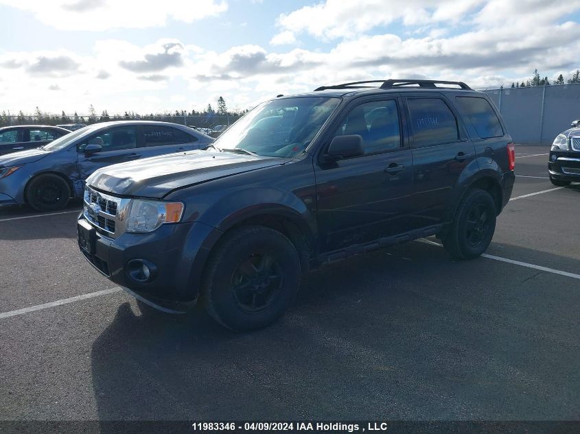 2009 Ford Escape Xlt VIN: 1FMCU93719KC45028 Lot: 11983346