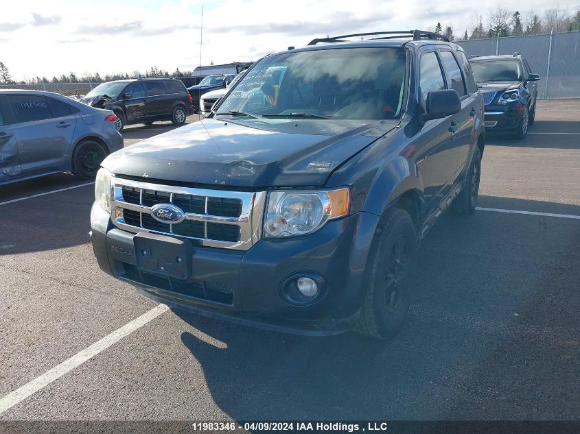 2009 Ford Escape Xlt VIN: 1FMCU93719KC45028 Lot: 11983346