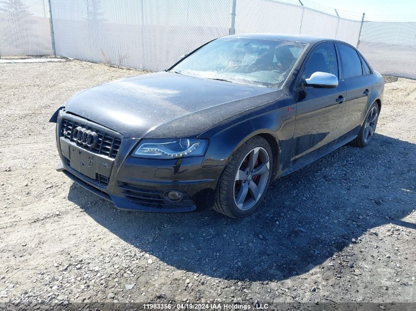 2010 Audi S4 Prestige VIN: WAUKGAFLXAA039652 Lot: 11983356