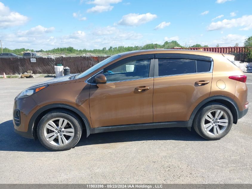 2017 Kia Sportage VIN: KNDPM3AC6H7113676 Lot: 11983395