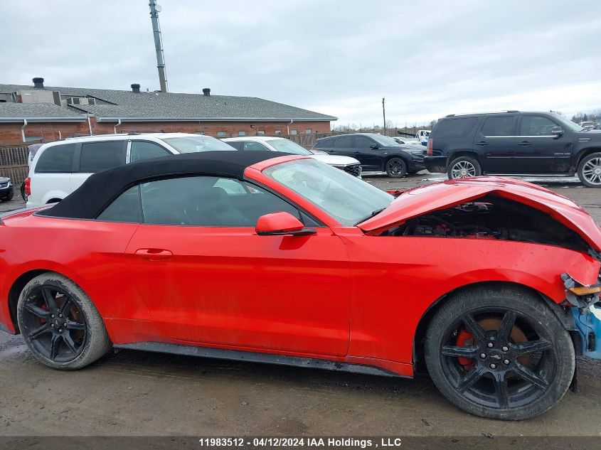 2019 Ford Mustang Ecoboost Premium VIN: 1FATP8UH1K5179071 Lot: 11983512