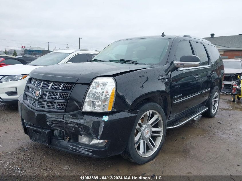 2013 Cadillac Escalade VIN: 1GYS4BEFXDR178953 Lot: 51575654