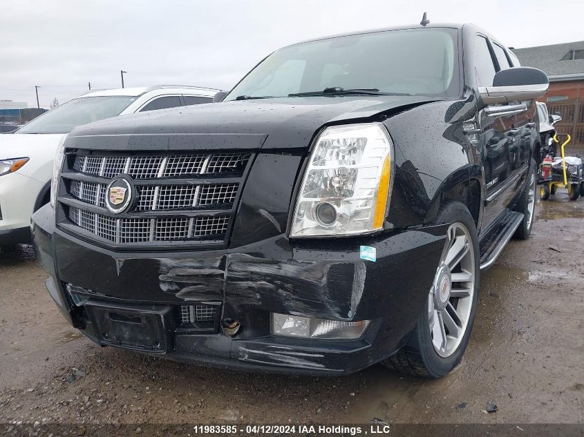 2013 Cadillac Escalade VIN: 1GYS4BEFXDR178953 Lot: 51575654