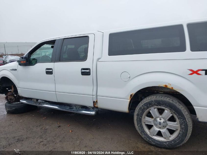 2010 Ford F-150 VIN: 1FTFW1E86AFA33600 Lot: 11983920