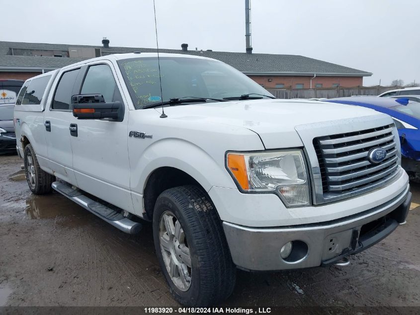 2010 Ford F-150 VIN: 1FTFW1E86AFA33600 Lot: 11983920