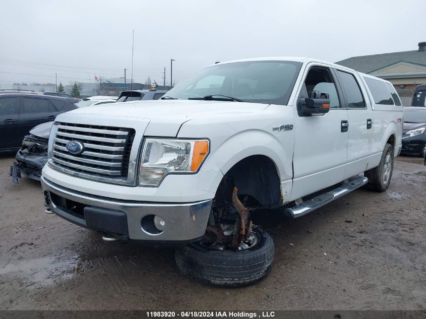 2010 Ford F-150 VIN: 1FTFW1E86AFA33600 Lot: 11983920