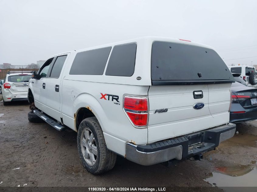 2010 Ford F-150 VIN: 1FTFW1E86AFA33600 Lot: 11983920