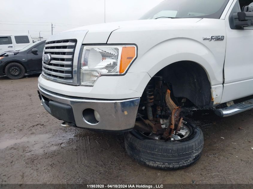 2010 Ford F-150 VIN: 1FTFW1E86AFA33600 Lot: 11983920