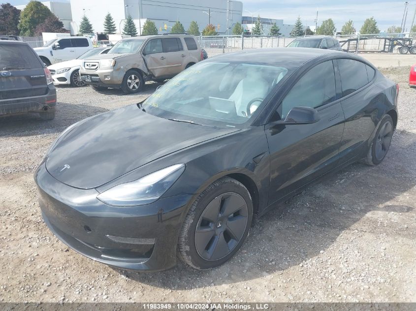 2022 Tesla Model 3 VIN: 5YJ3E1EB1NF204815 Lot: 11983949