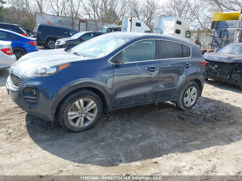 2019 Kia Sportage Lx VIN: KNDPMCAC5K7524445 Lot: 50897044