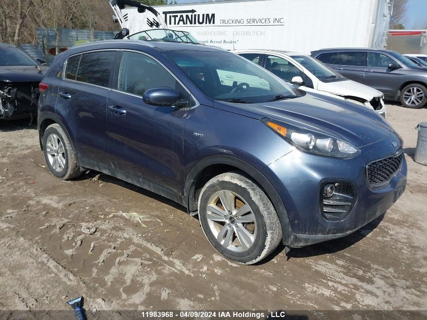 2019 Kia Sportage Lx VIN: KNDPMCAC5K7524445 Lot: 50897044