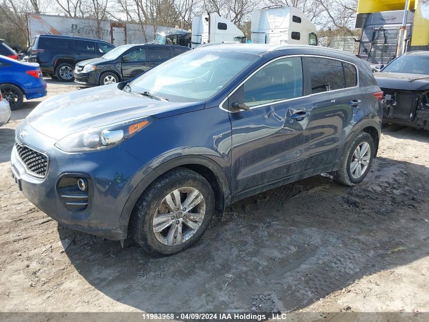 2019 Kia Sportage Lx VIN: KNDPMCAC5K7524445 Lot: 50897044