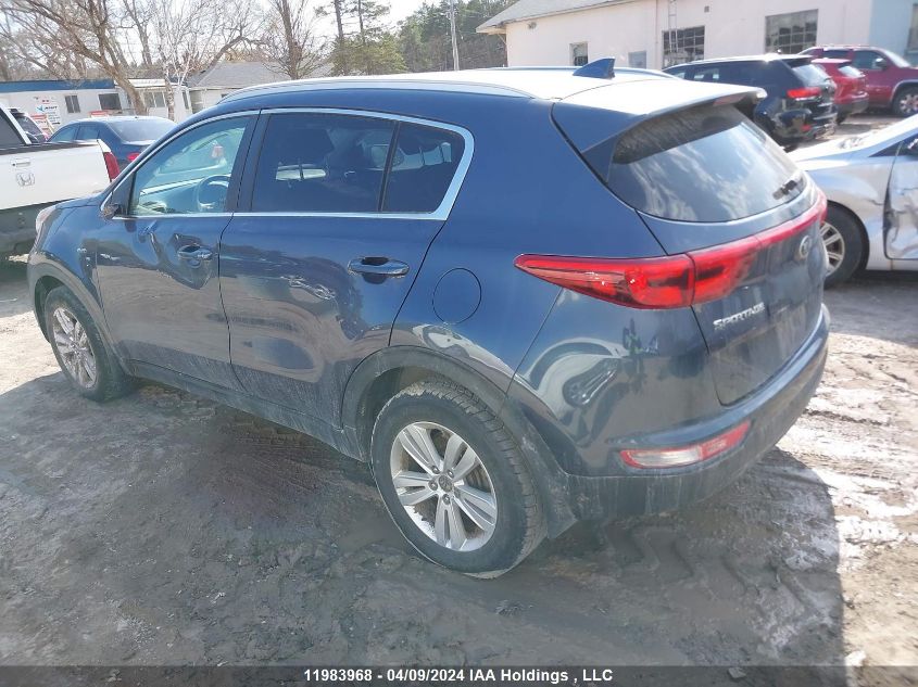 2019 Kia Sportage Lx VIN: KNDPMCAC5K7524445 Lot: 50897044