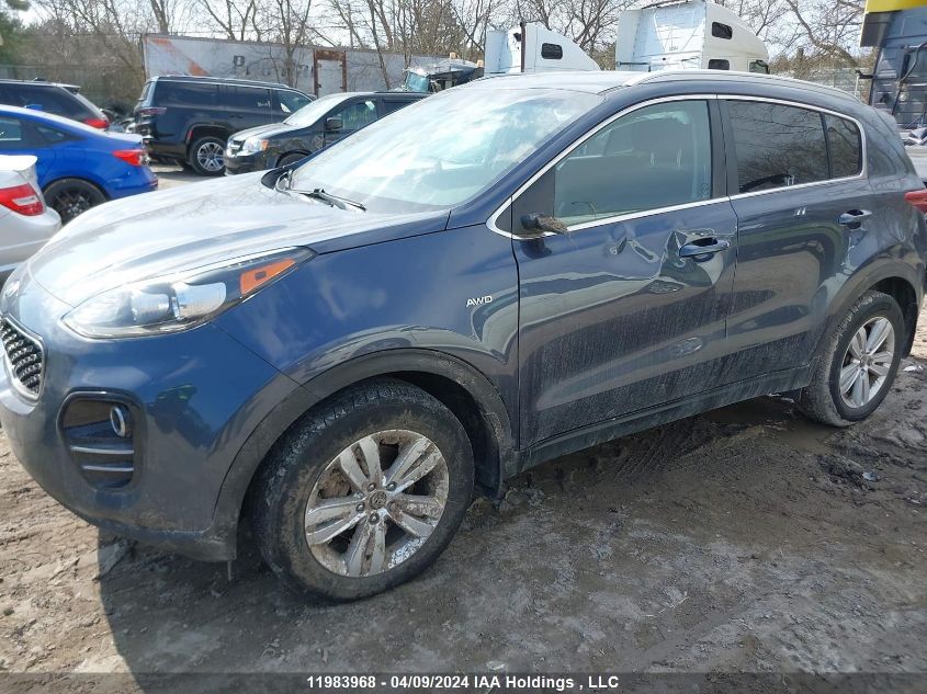 2019 Kia Sportage Lx VIN: KNDPMCAC5K7524445 Lot: 50897044