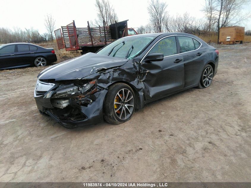 2015 Acura Tlx Advance VIN: 19UUB2F78FA800545 Lot: 11983974