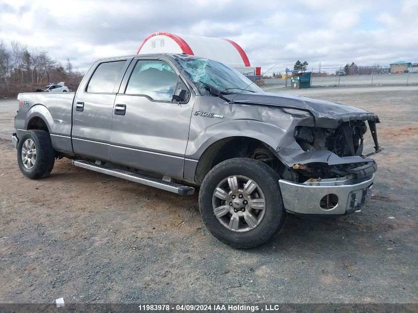 2012 Ford F-150 Xlt VIN: 1FTFW1EF5CFC13118 Lot: 11983978