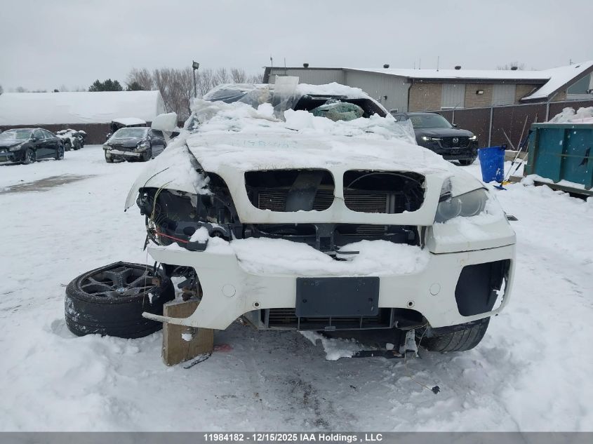 2010 BMW X6 VIN: 5UXFG4C53AL225936 Lot: 11984182