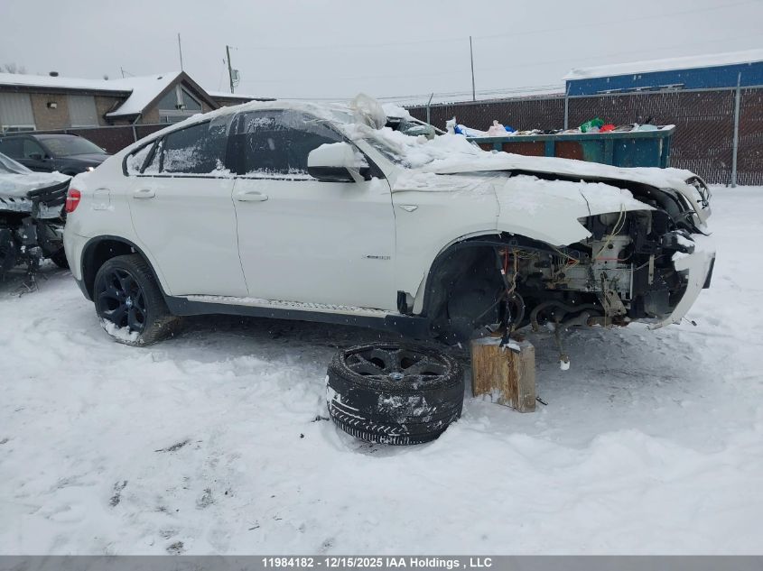 2010 BMW X6 VIN: 5UXFG4C53AL225936 Lot: 11984182