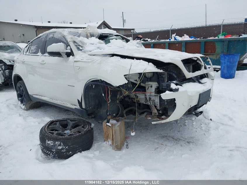 5UXFG4C53AL225936 2010 BMW X6 auction photo 1