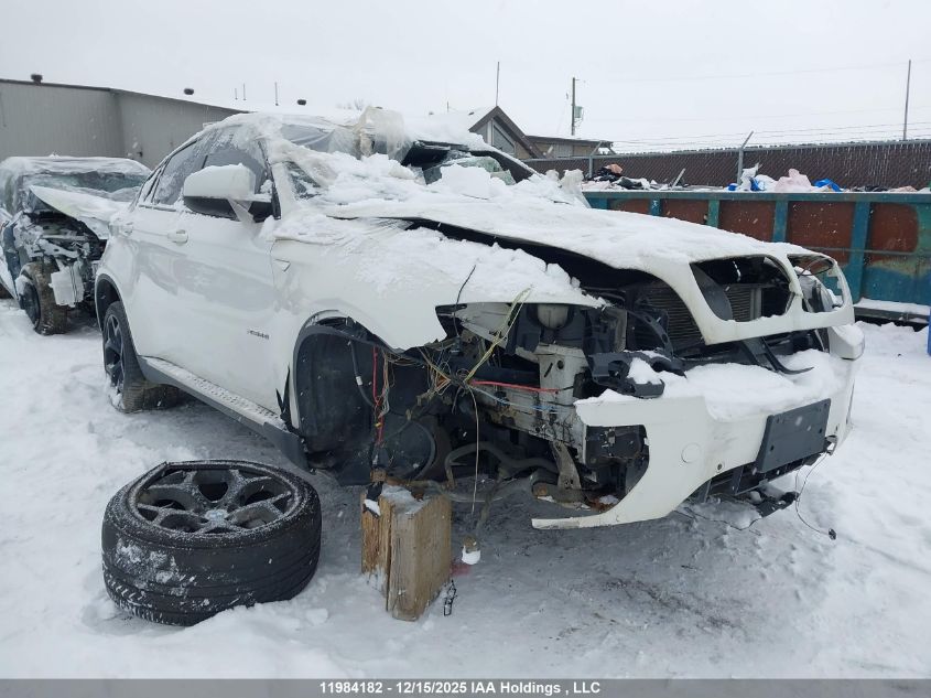 2010 BMW X6 VIN: 5UXFG4C53AL225936 Lot: 11984182