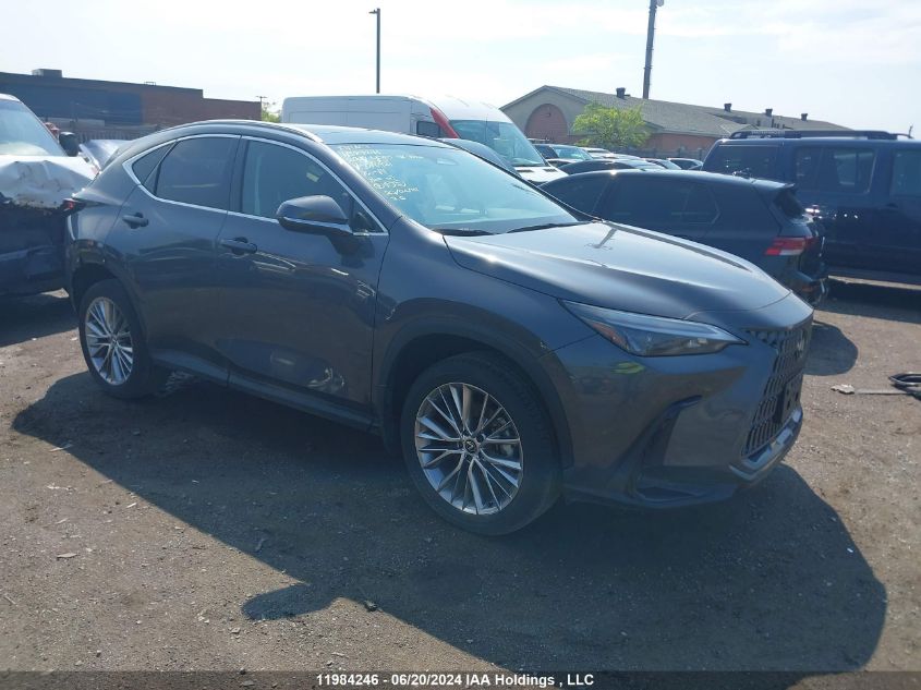 2024 Lexus Nx 350H VIN: 2T2GKCEZ1RC016921 Lot: 11984246