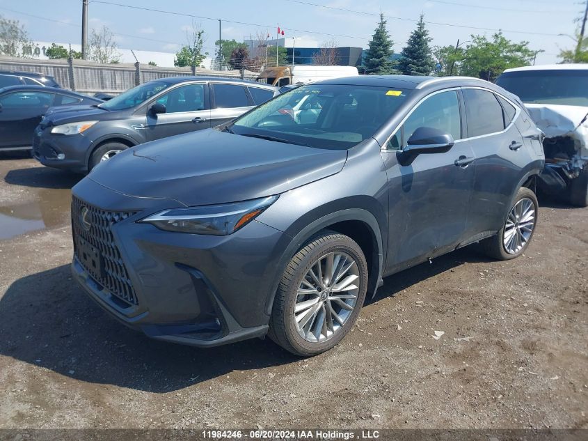 2024 Lexus Nx 350H VIN: 2T2GKCEZ1RC016921 Lot: 11984246