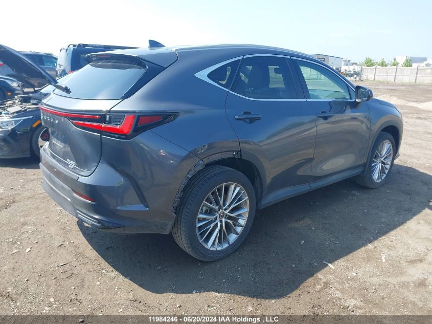 2024 Lexus Nx 350H VIN: 2T2GKCEZ1RC016921 Lot: 11984246