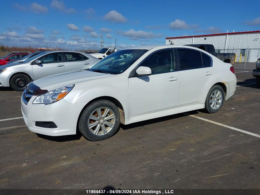 2011 Subaru Legacy 2.5I Premium VIN: 4S3BMGB60B3250914 Lot: 11984437