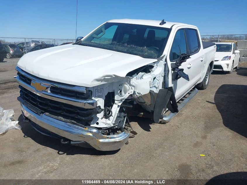 2023 Chevrolet Silverado 1500 VIN: 1GCUDDED8PZ266462 Lot: 11984469