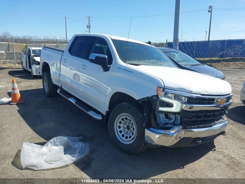 2023 Chevrolet Silverado 1500 VIN: 1GCUDDED8PZ266462 Lot: 11984469