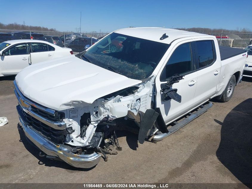 2023 Chevrolet Silverado 1500 VIN: 1GCUDDED8PZ266462 Lot: 11984469