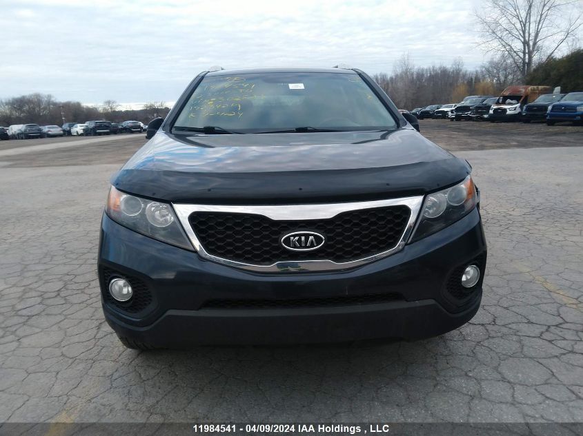 2012 Kia Sorento VIN: 5XYKTDA26CG302883 Lot: 11984541