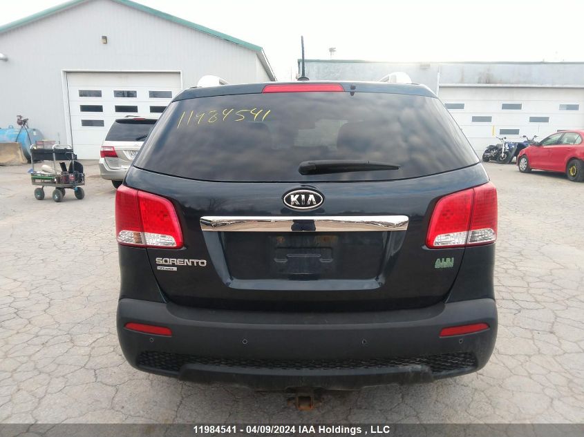 2012 Kia Sorento VIN: 5XYKTDA26CG302883 Lot: 11984541