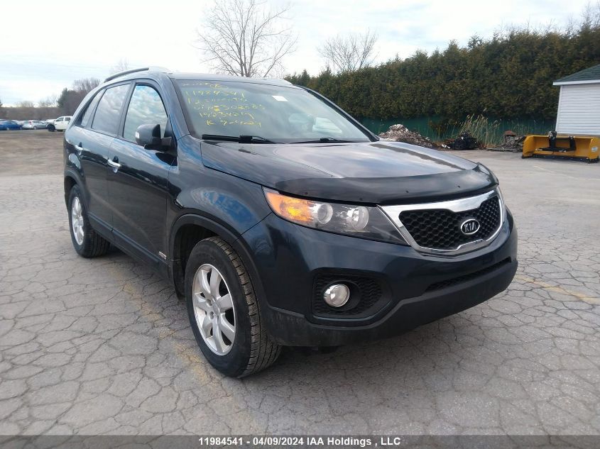 2012 Kia Sorento VIN: 5XYKTDA26CG302883 Lot: 11984541