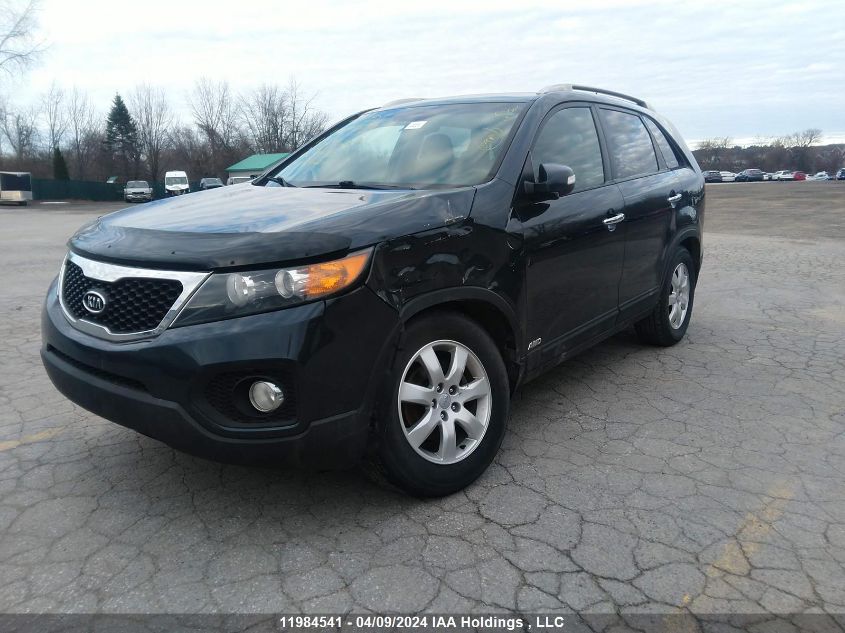 2012 Kia Sorento VIN: 5XYKTDA26CG302883 Lot: 11984541