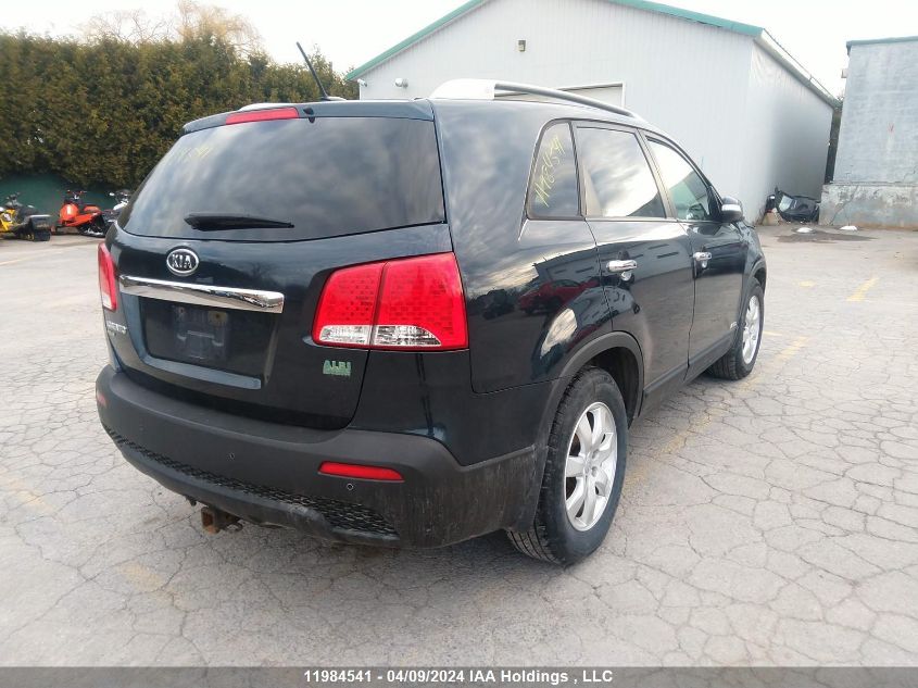 2012 Kia Sorento VIN: 5XYKTDA26CG302883 Lot: 11984541