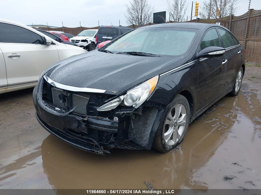 2013 Hyundai Sonata Limited VIN: 5NPEC4AC0DH574183 Lot: 48917364