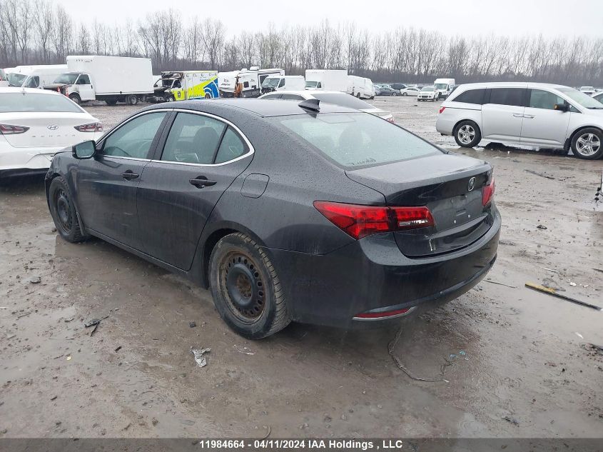 2015 Acura Tlx VIN: 19UUB1F30FA800756 Lot: 62287723