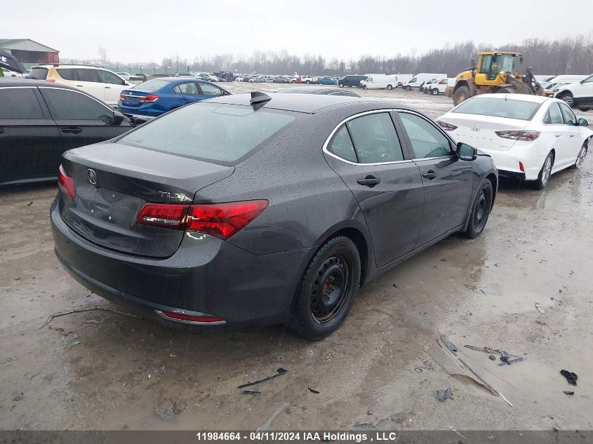 2015 Acura Tlx VIN: 19UUB1F30FA800756 Lot: 62287723