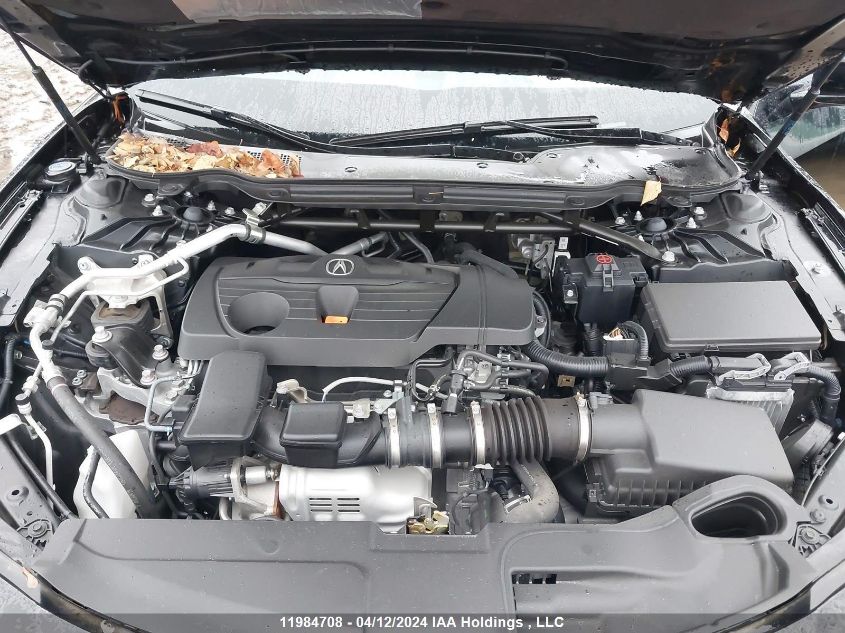 2022 Acura Tlx VIN: 19UUB6F55NA801043 Lot: 11984708