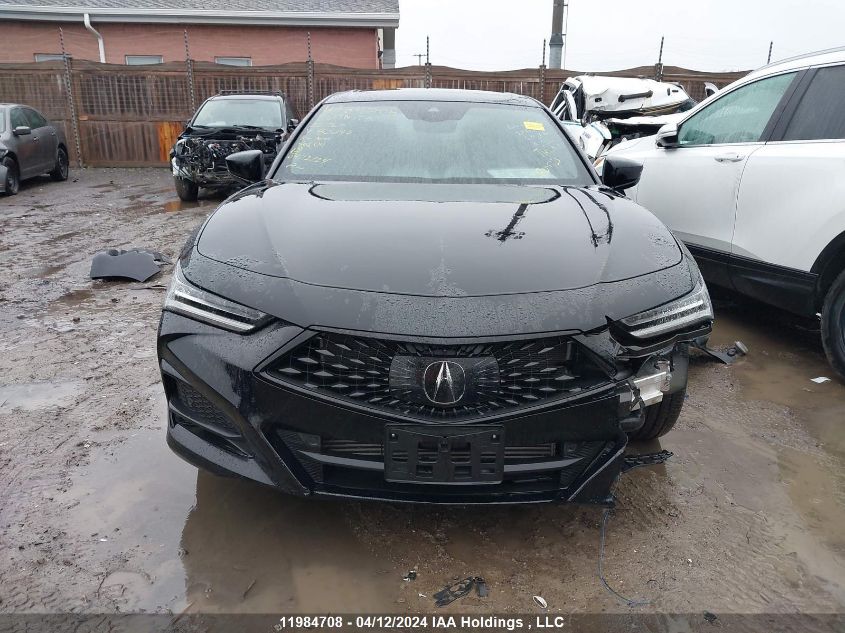 2022 Acura Tlx VIN: 19UUB6F55NA801043 Lot: 11984708