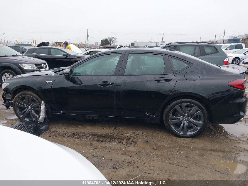 2022 Acura Tlx VIN: 19UUB6F55NA801043 Lot: 11984708