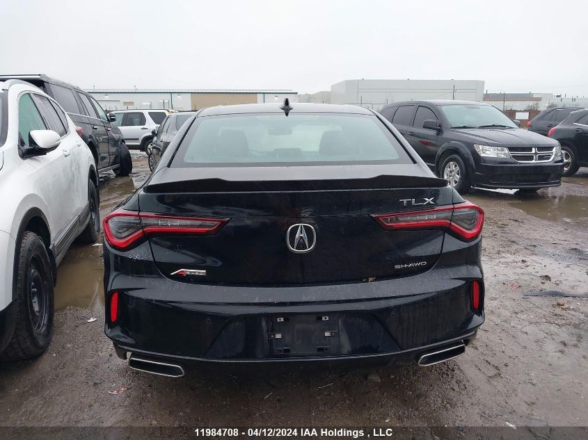 2022 Acura Tlx VIN: 19UUB6F55NA801043 Lot: 50304714