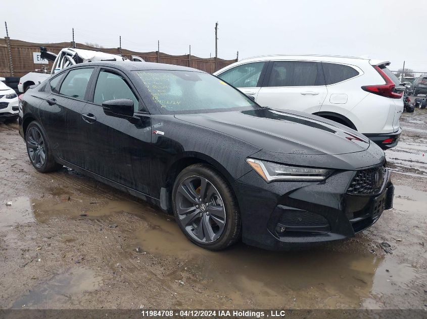 2022 Acura Tlx VIN: 19UUB6F55NA801043 Lot: 11984708